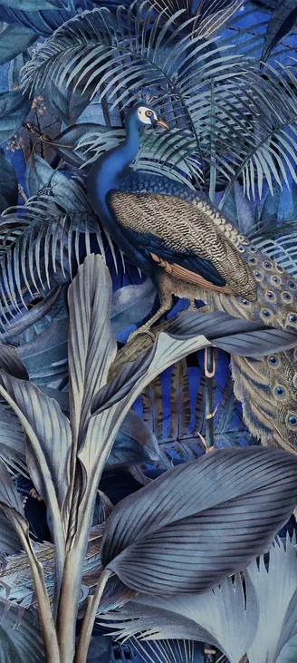 1-52885768536331-46321487872267.png