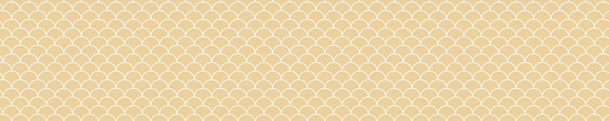 1-52895457837323-50971816689931.png