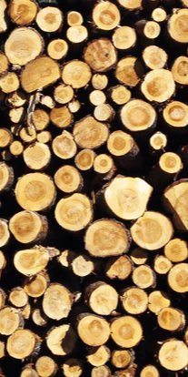 1-52899230384395-64656913498379.jpeg