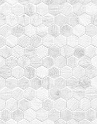 1-52910793326859-64472117674251.jpeg