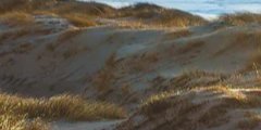 1-52911790850315-48382292295947.jpeg