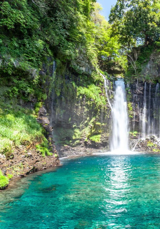 1-52911872409867-46309614878987.jpeg