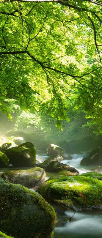 1-52914011209995-44343715299595.jpeg