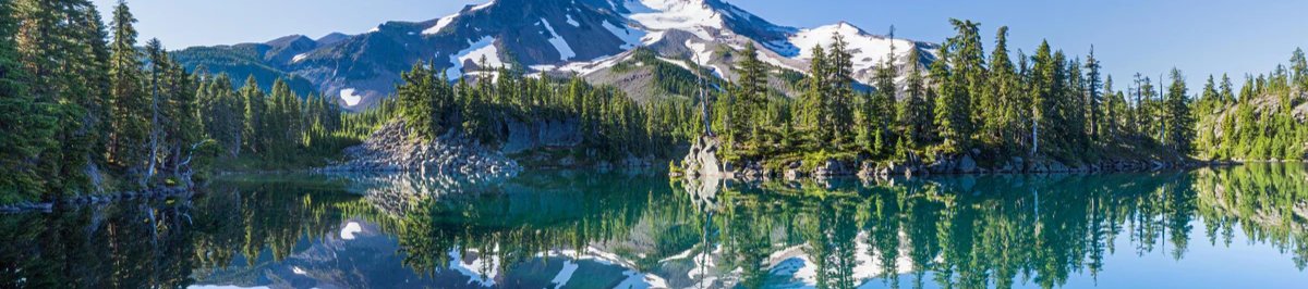 1-52920234246411-44323475849483.jpeg