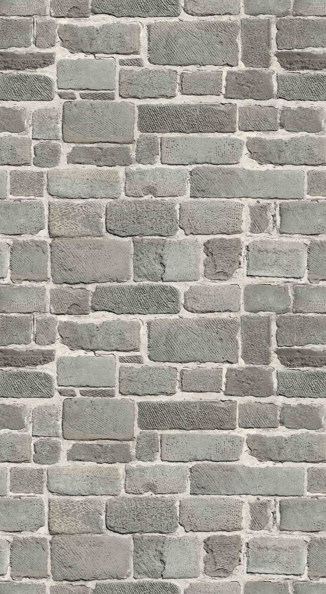1-52939100127499-66100029489419.jpeg
