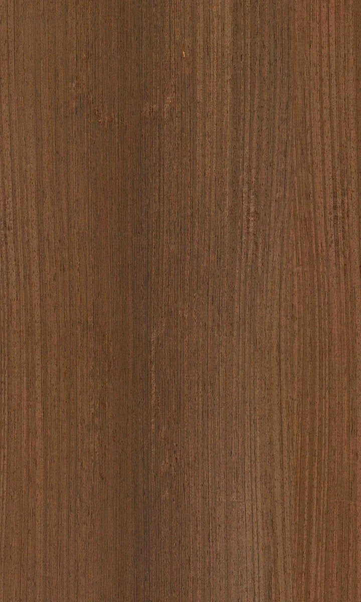 1-52940925894923-66097128866059.jpeg