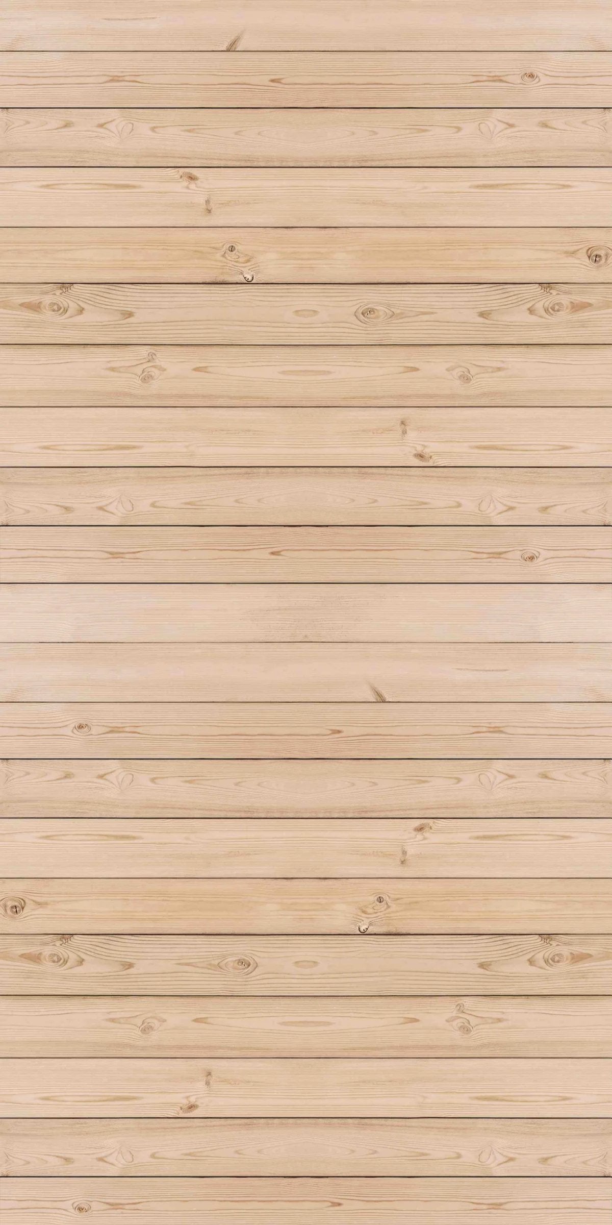 1-52940984451339-66096734503179.jpeg