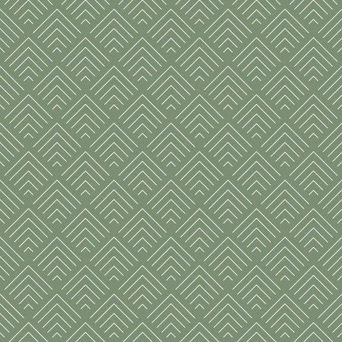 1-52941709541643-50972678652171.jpeg
