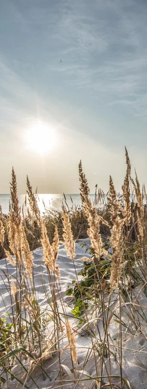 1-52956228124939-44343349117195.jpeg