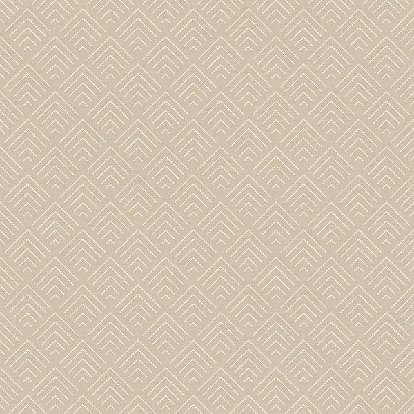 1-52968271675659-66096354623755.jpeg
