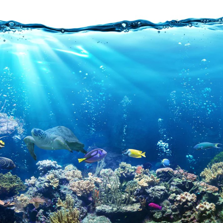 1-52969828450571-44343679451403.jpeg