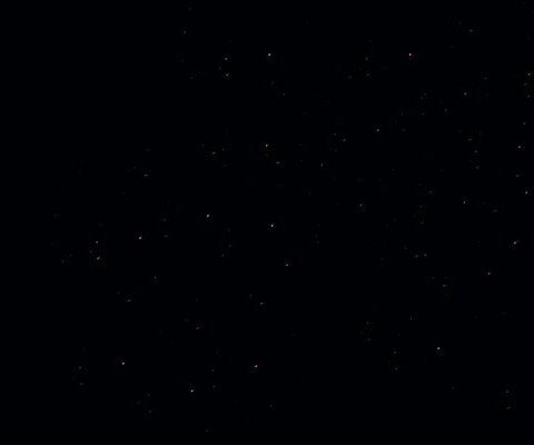 1-52970099507467-46218862362891.jpeg