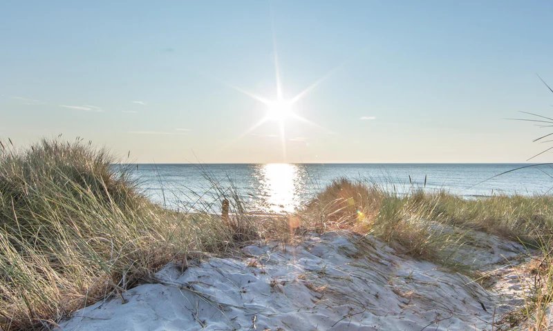 1-52987055505675-44340151714059.jpeg