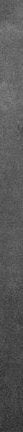 1-52999200866571-65878007906571.jpeg