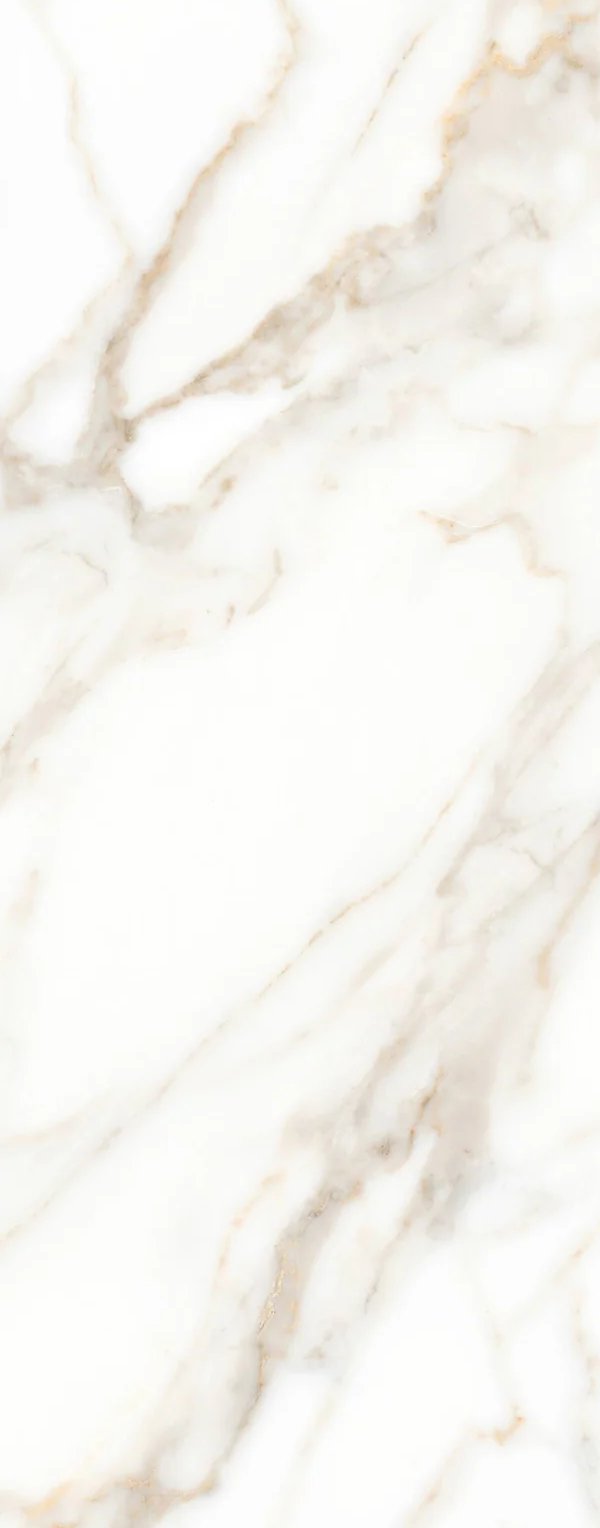 1-53000680833291-66102100033803.jpeg