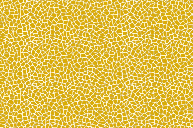 1-53004079366411-50941333537035.jpeg