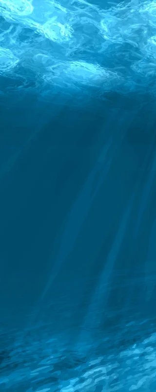1-53018206535947-46342640140555.jpeg