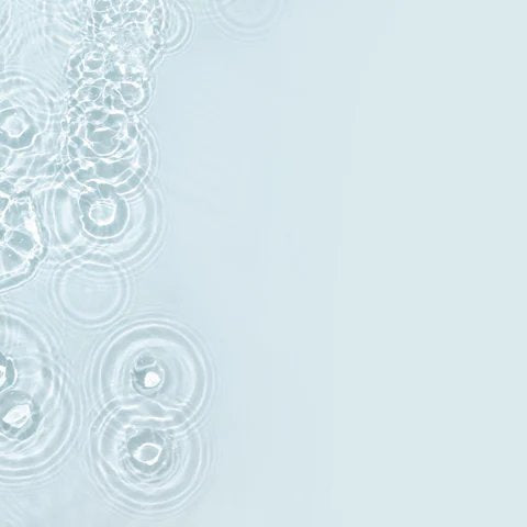 1-53028749574411-60773256200459.jpeg