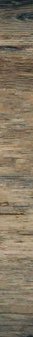 1-53029083906315-65878180102411.jpeg