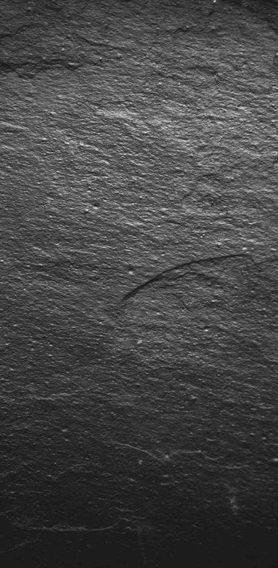 1-53030802718987-65038768865547.jpeg
