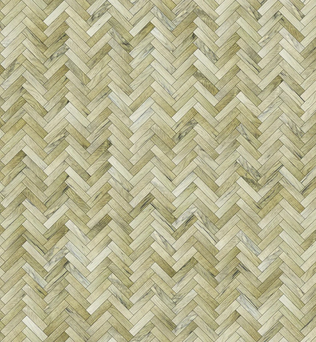 1-53036850807051-64478879056139.jpeg