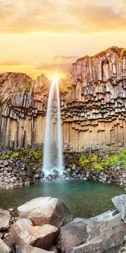 1-53040663396619-46375169786123.jpeg
