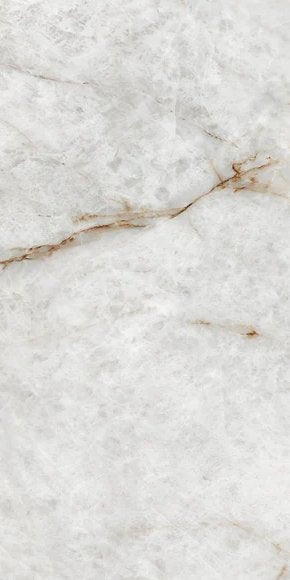 1-53040742793483-49579783029003.jpeg