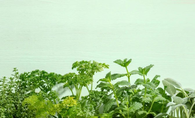 1-53046783181067-44325359321355.jpeg