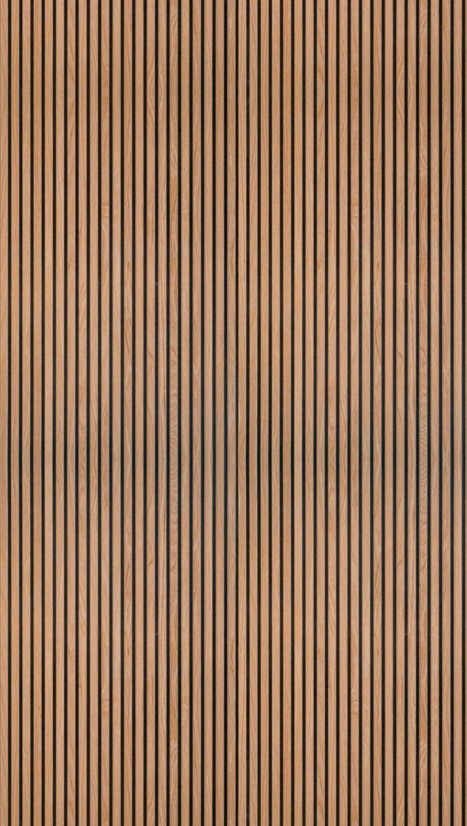 1-53056435781899-66098432278795.jpeg