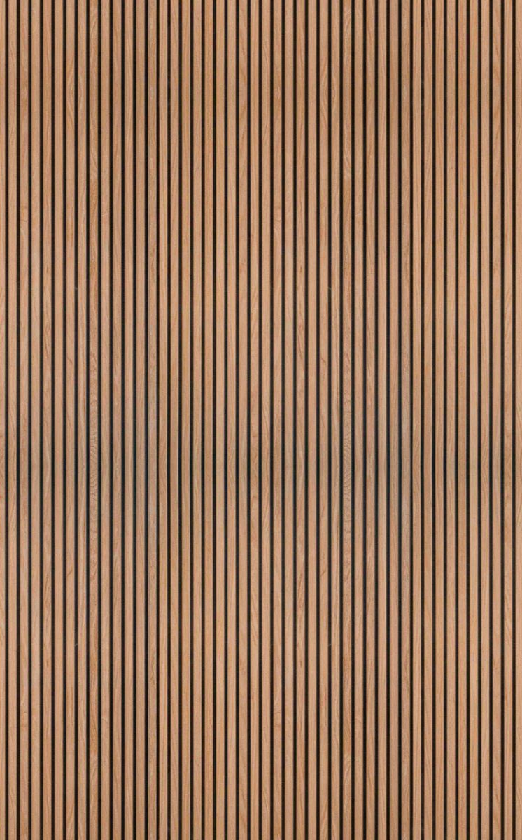 1-53056440926475-66098432278795.jpeg