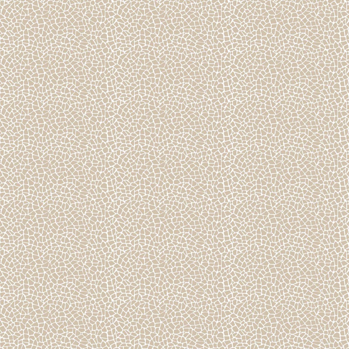 1-53056887095563-66093736067339.jpeg