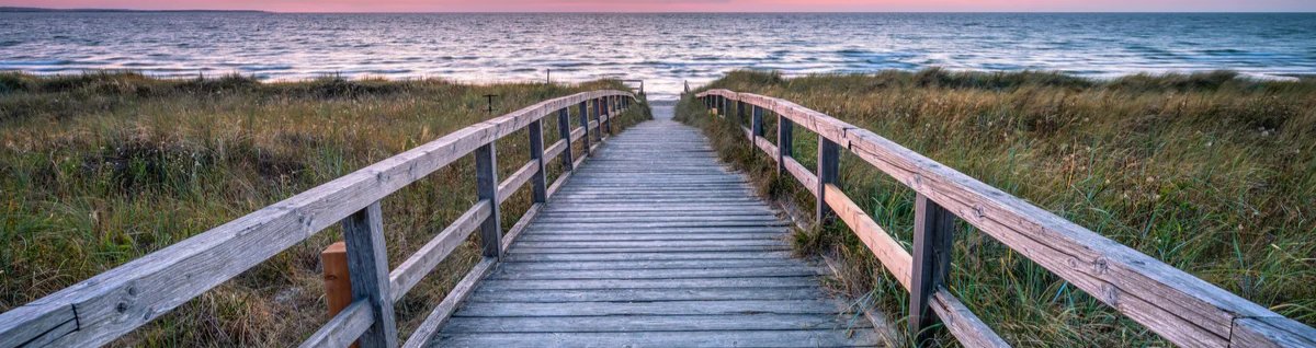 1-53059200024843-44325289099531.jpeg