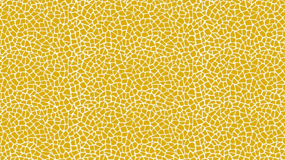 1-53059768156427-50941333537035.jpeg