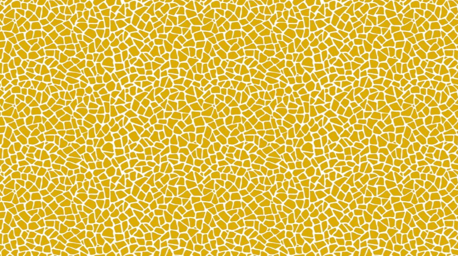 1-53059854795019-50941333537035.jpeg