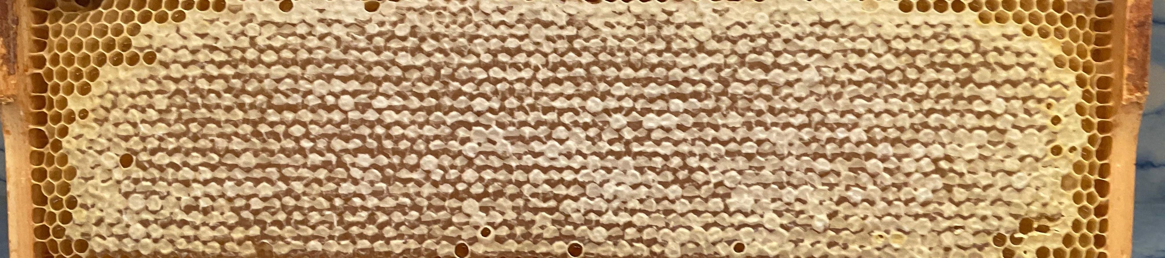 1-53061124030731-40428056740107.jpeg