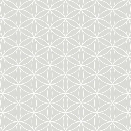 1-53062532432139-50961854955787.jpeg