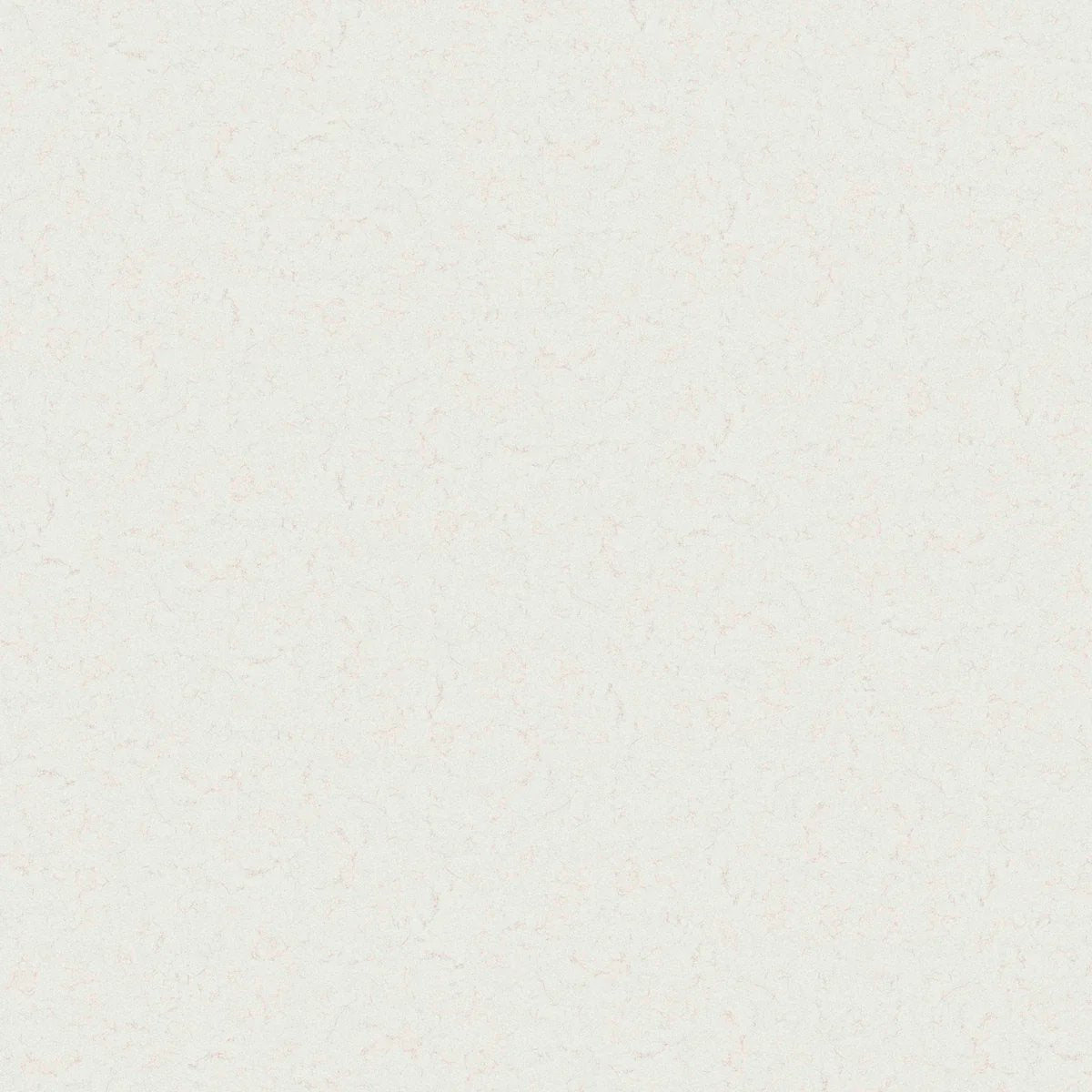 1-53075842007307-66100669055243.jpeg