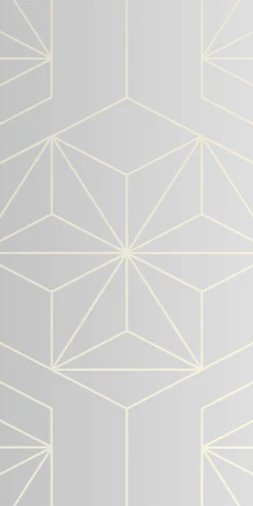 1-53087353045259-66751747424523.jpeg