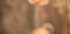 1-53097873604875-44325476761867.jpeg