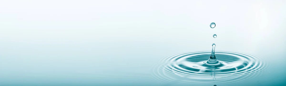 1-53099858264331-66411969741067.jpeg