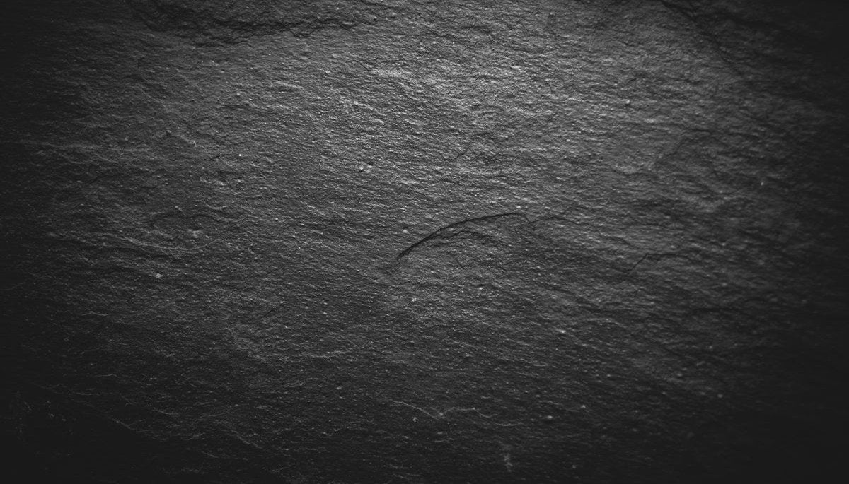 1-53101872677131-46214849429771.jpeg