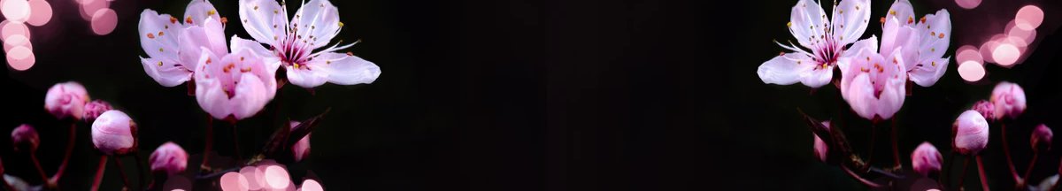 1-53105130832139-46341737185547.jpeg