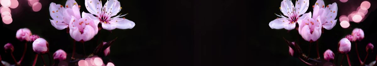 1-53105138827531-46341737185547.jpeg
