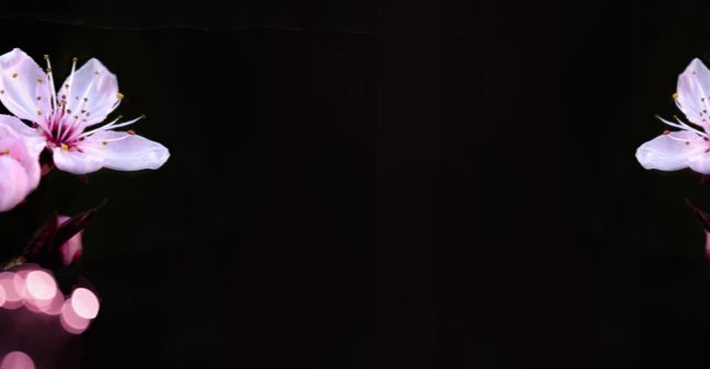 1-53105311285515-46341737185547.jpeg