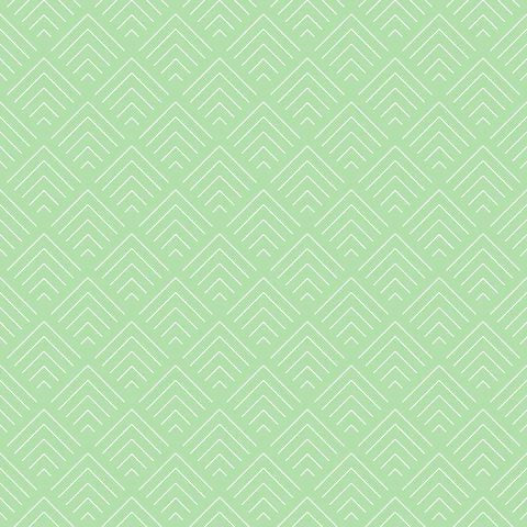 1-53124452090123-50962565300491.jpeg