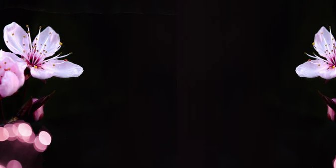 1-53132758286603-46341737185547.jpeg