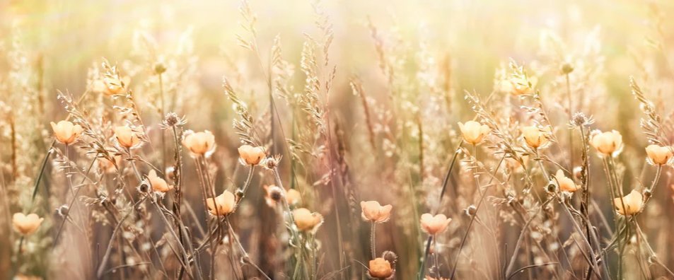 1-53134833746187-44325476761867.jpeg