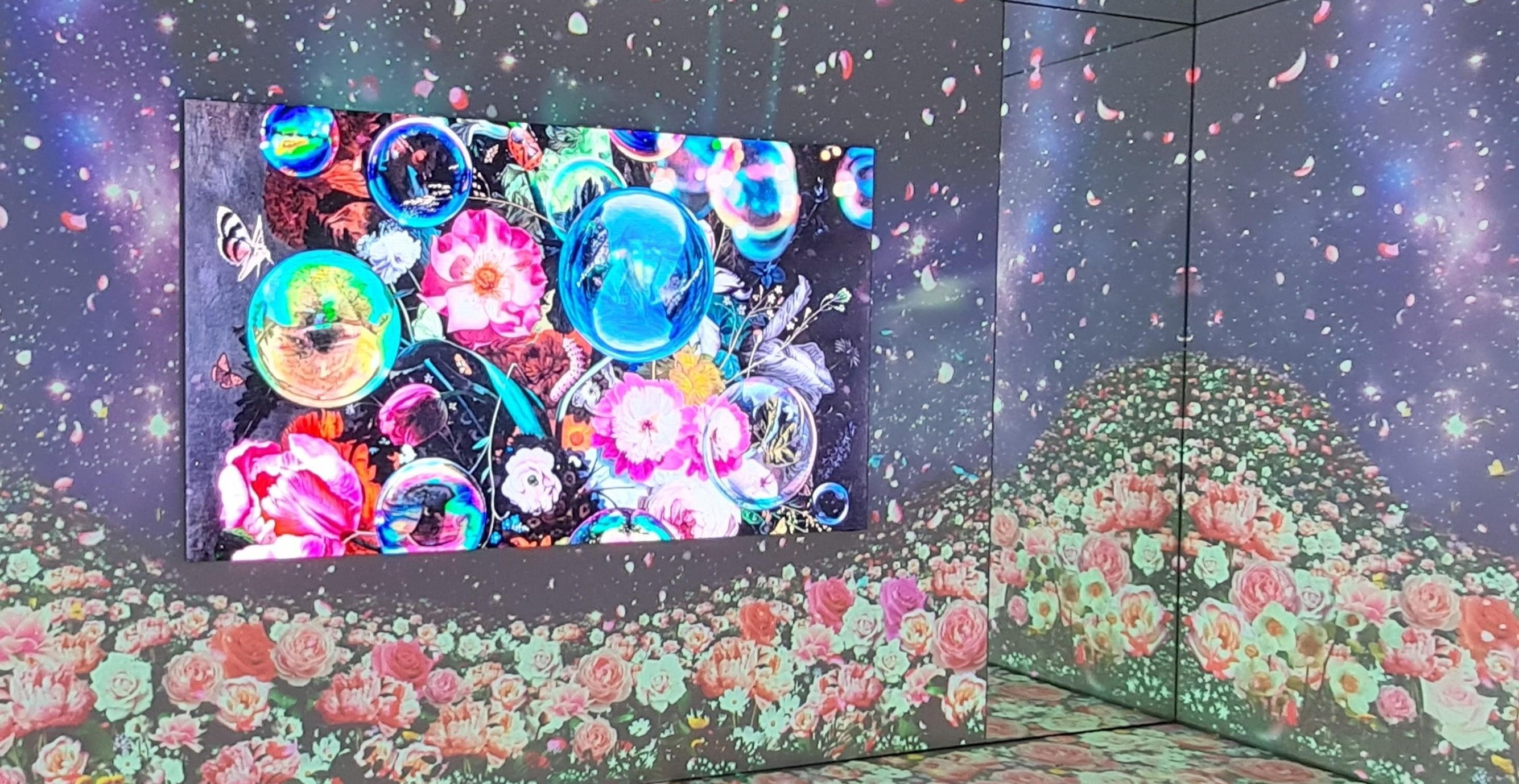 1-53143444488459-40428056740107.jpeg