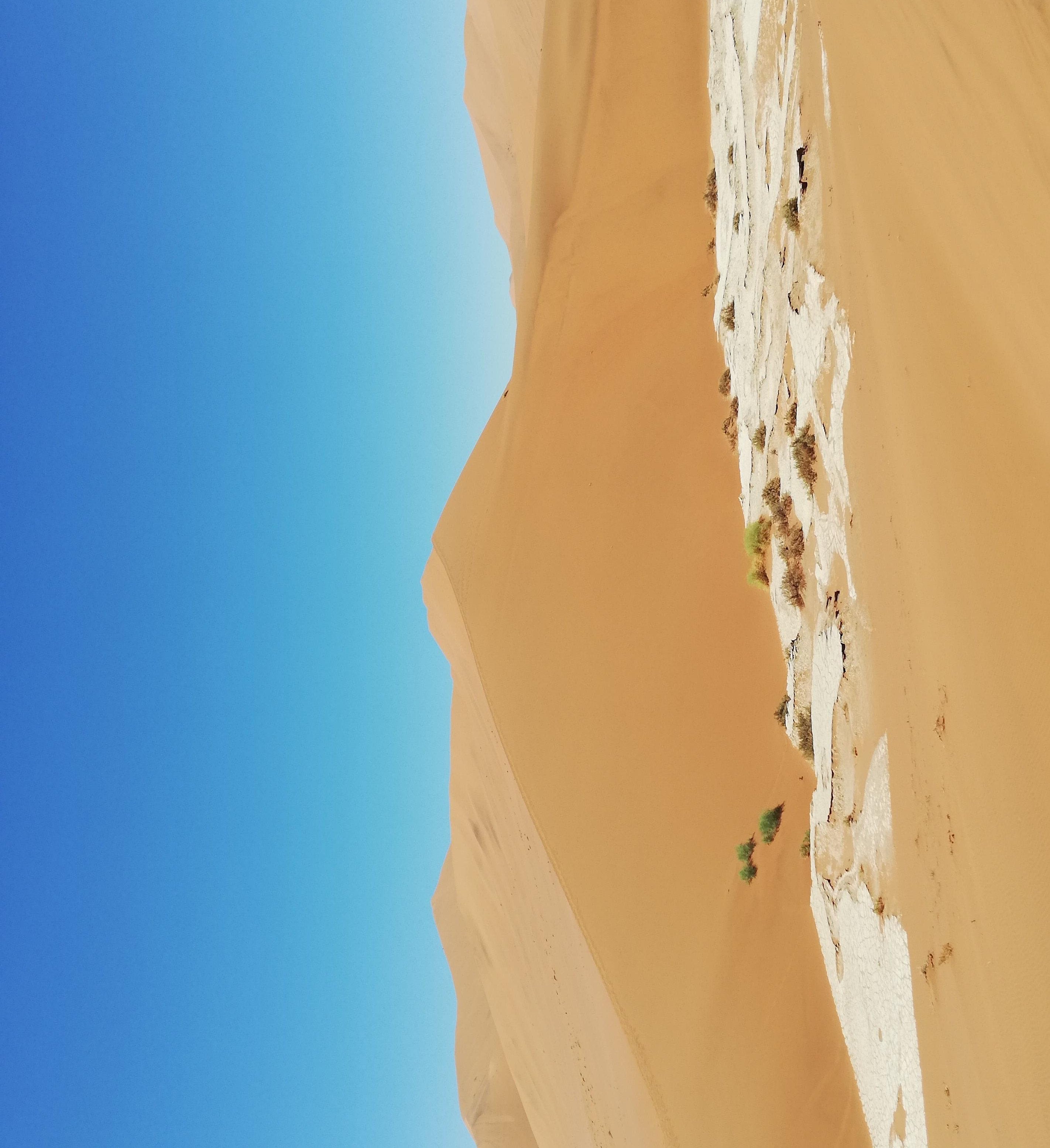 1-53150578278667-64793304400139.jpeg