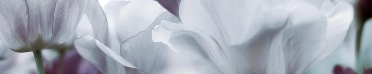 1-53190195675403-44359700152587.jpeg